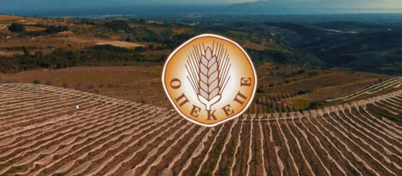 ΟΠΕΚΕΠΕ: Οι νέες καταβολές στους αγρότες